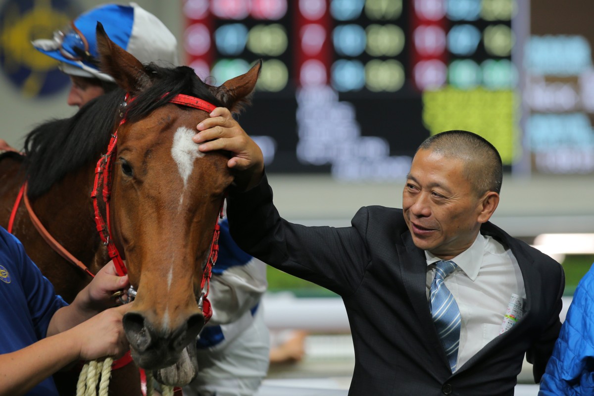 Danny Shum pats Nordic Dragon following the Hong Kong International Sale graduate’s win at Happy Valley on May 3. Photos: Kenneth Chan