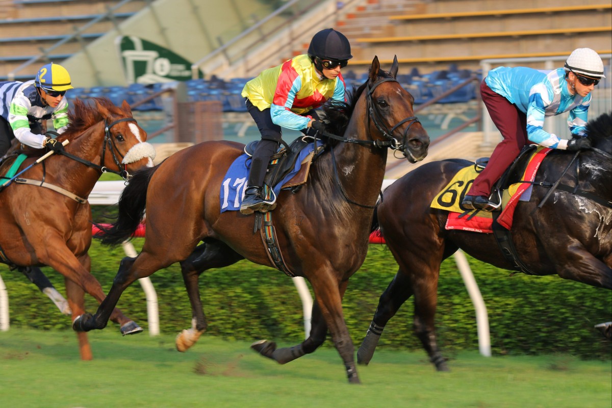 Wellington trials under Alexis Badel at Sha Tin on Tuesday morning. Photos: Kenneth Chan