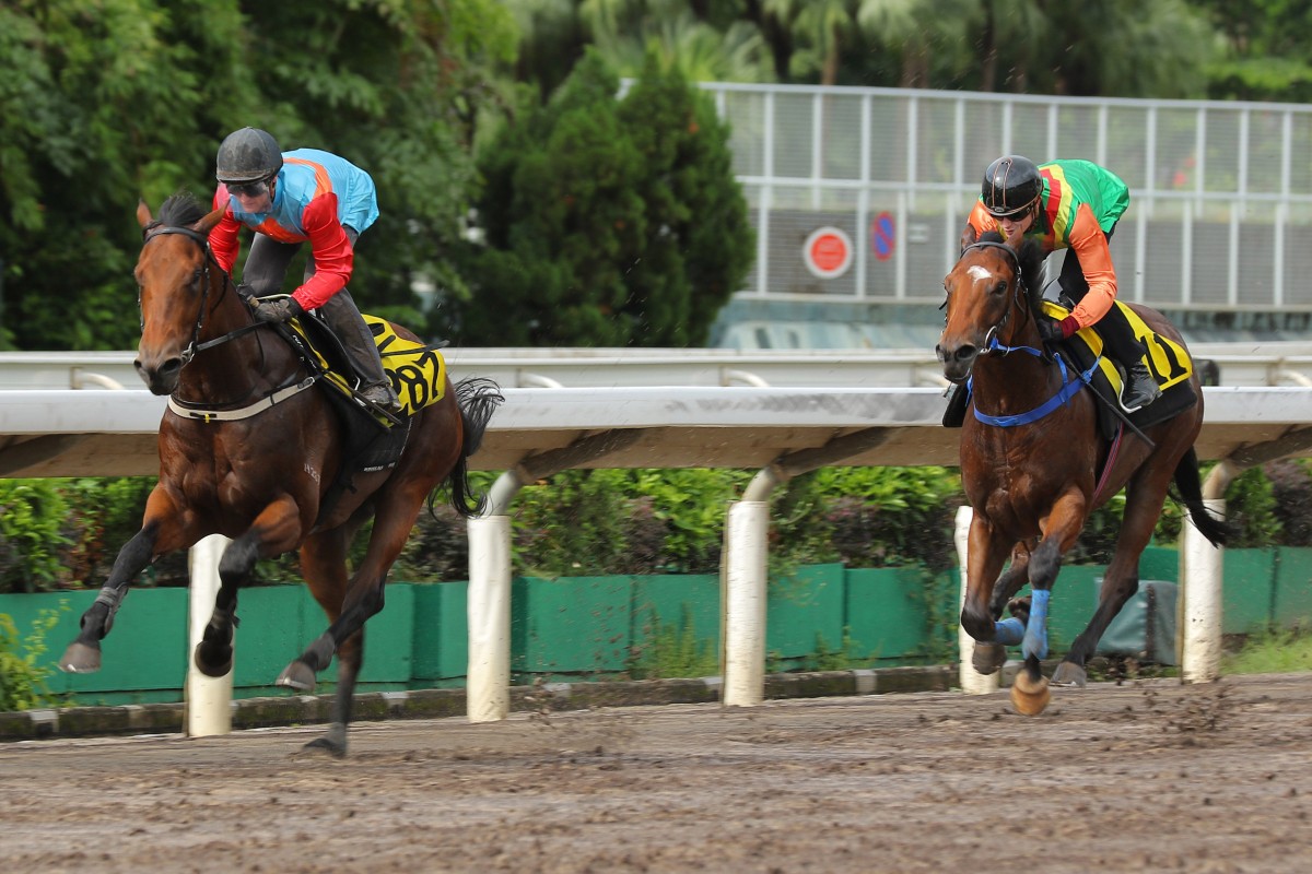 Ka Ying Victory wins his barrier trial at Sha Tin on June 9. Photos: Kenneth Chan