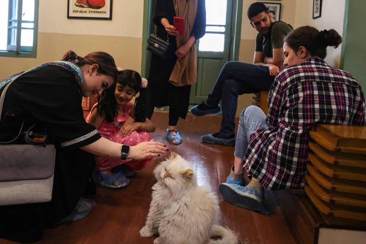 People visit the “meowseum”, a privately funded cat museum and cafe where some 30 felines roam. Photo: AFP