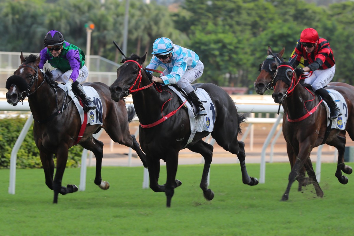 Tuchel (blue and white colours) wins a Class Two contest over 1,600m at Sha Tin on May 21. Photo: Kenneth Chan