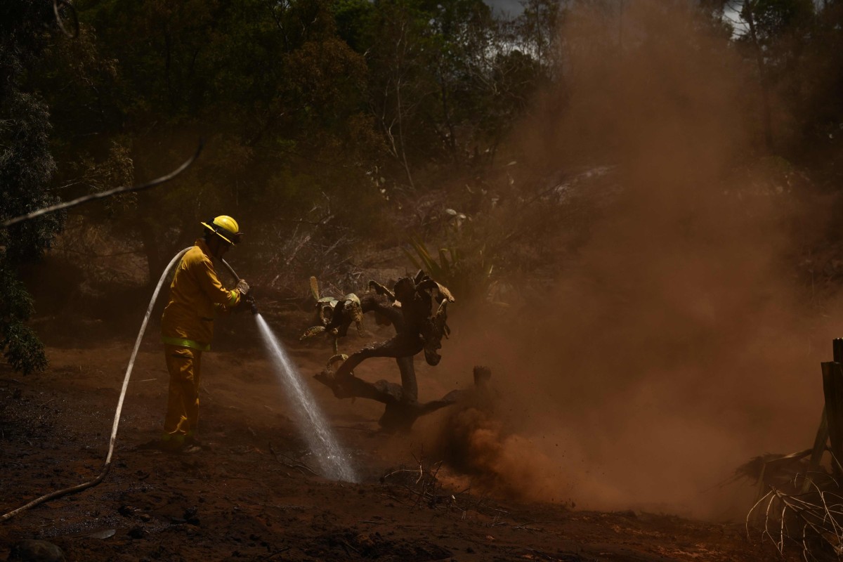 Maui wildfires How did they start and what is the deadliest wildfire