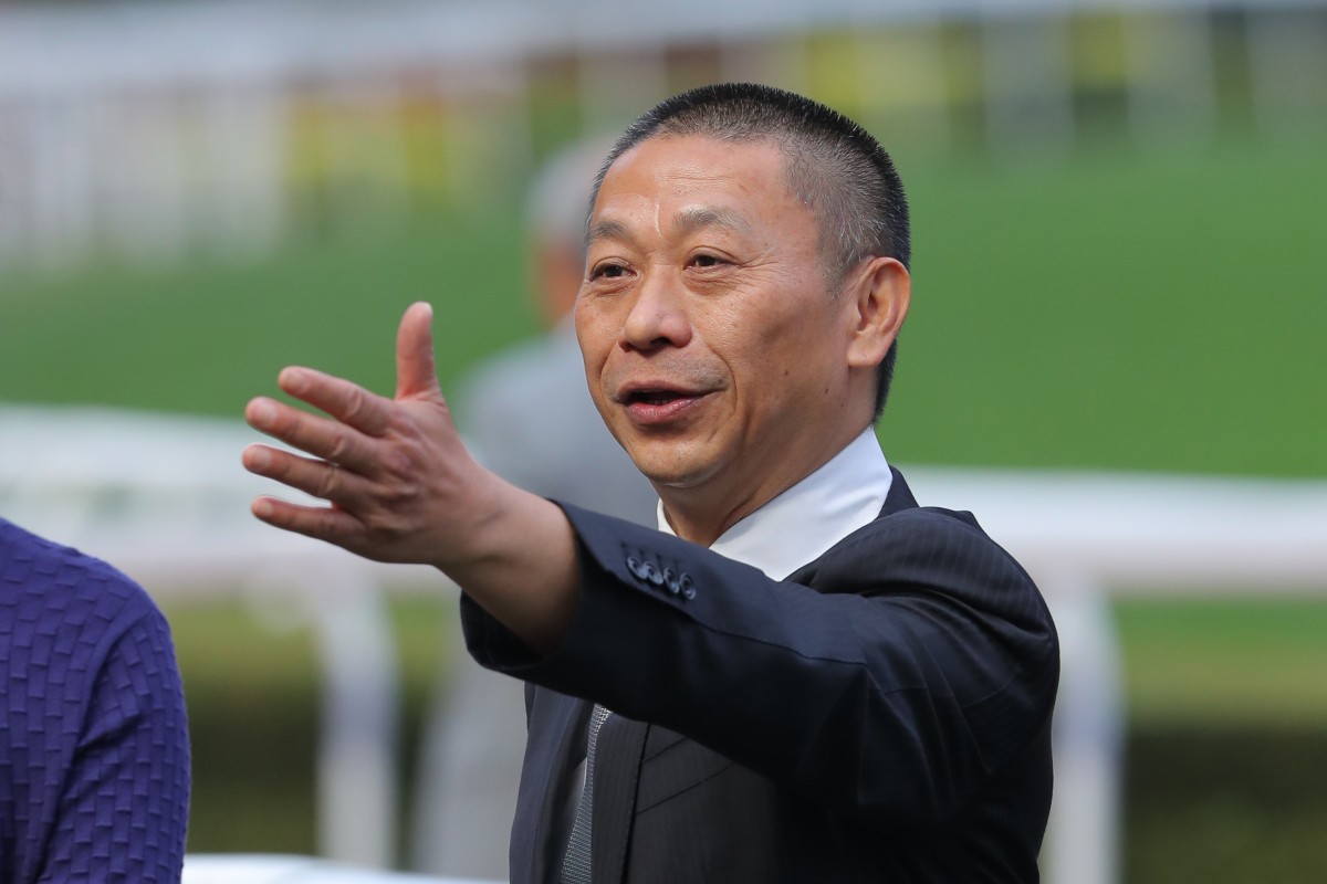 Danny Shum is hopeful Romantic Warrior will take to his Australian feed. Photos: Kenneth Chan