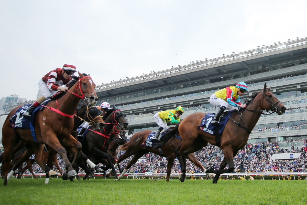 Wellington wins the 2022 Hong Kong Sprint. Photo: Kenneth Chan