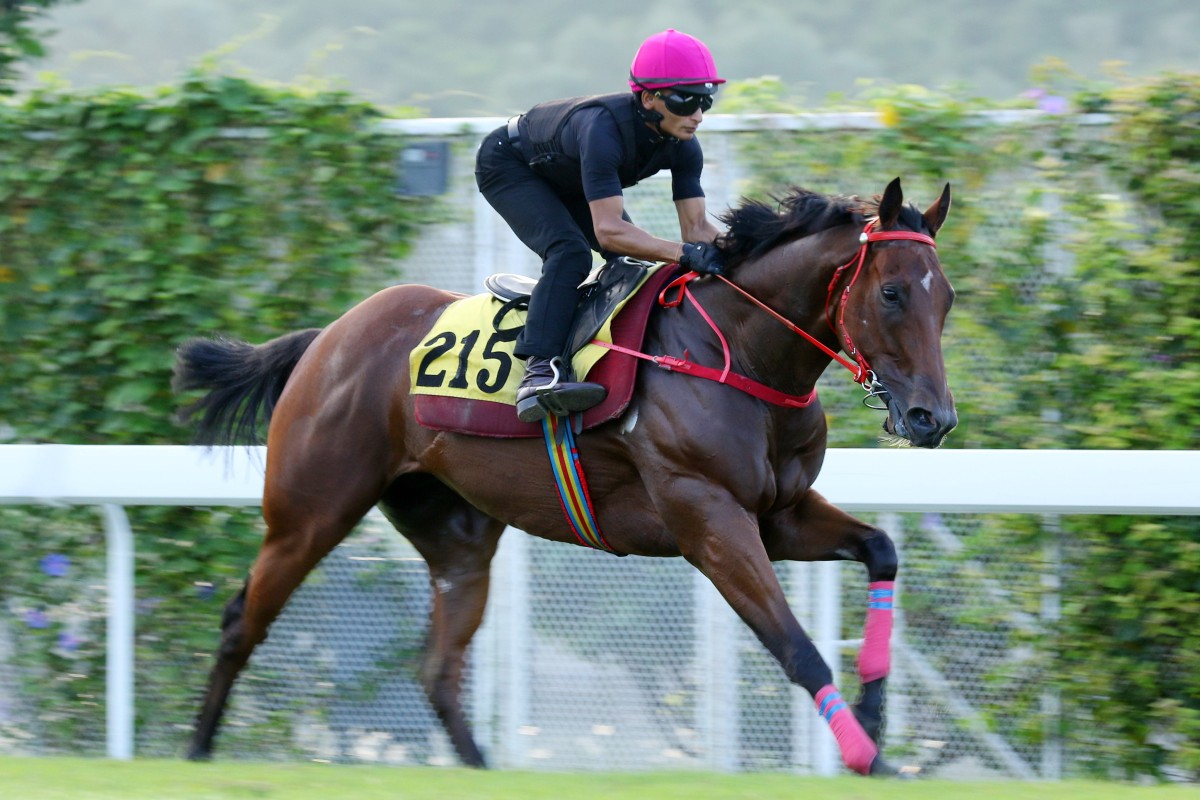 Karis Teetan gallops Helene Feeling at Sha Tin on Monday. Photo: Kenneth Chan