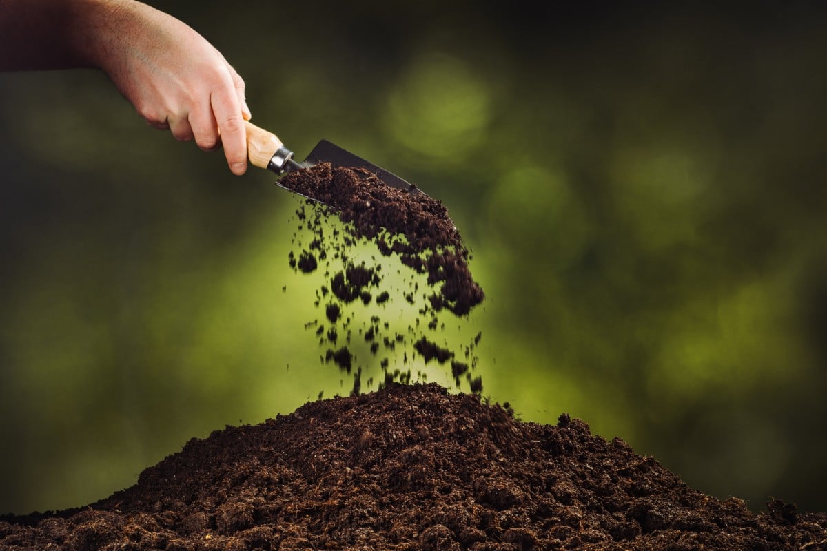 A new type of fertiliser really isn’t that new at all. Photo: Shutterstock
