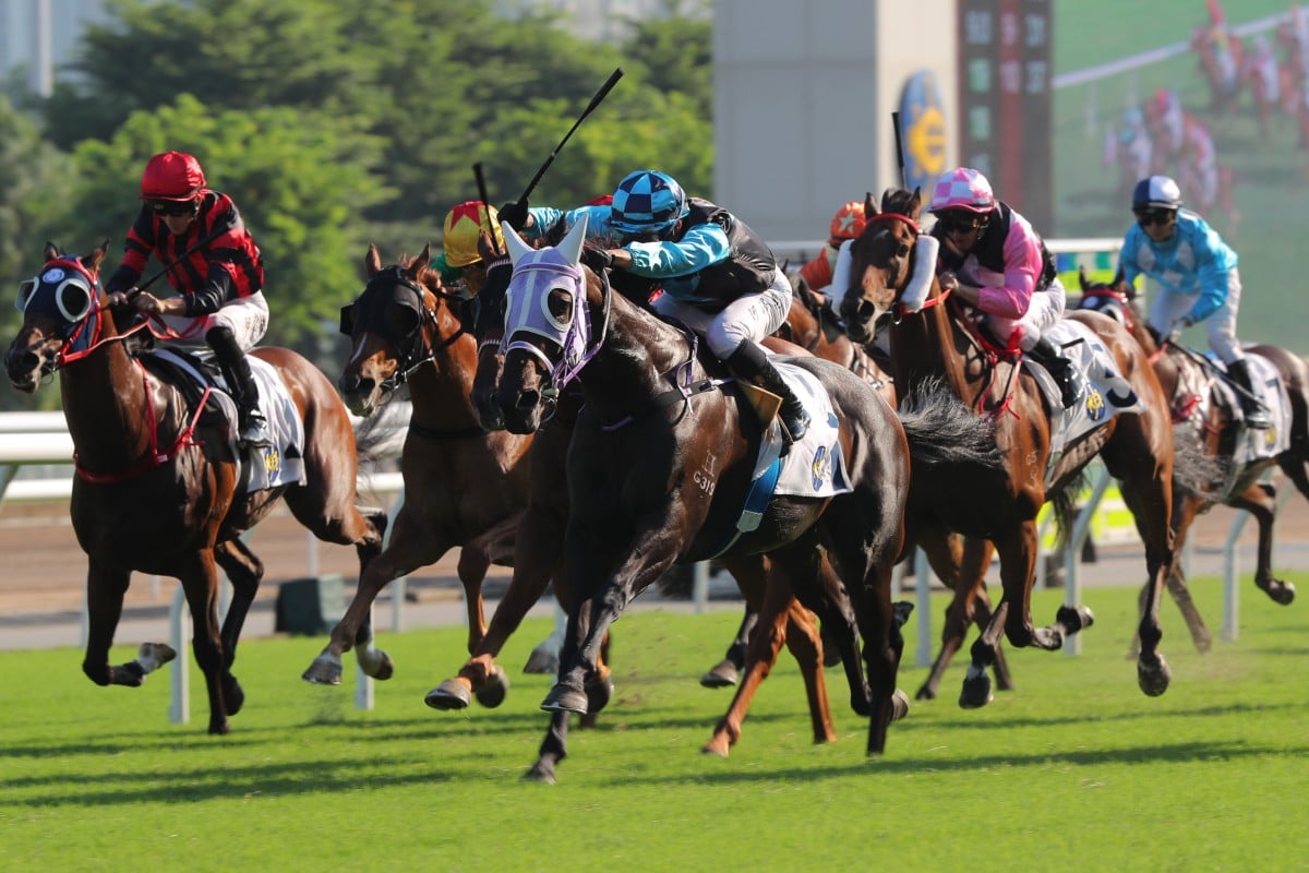 Super Sunny Sing proves too strong at Sha Tin on Sunday. Photos: Kenneth Chan