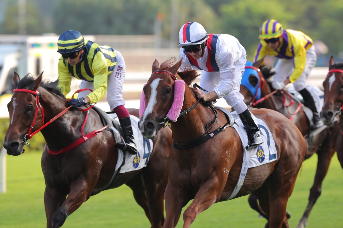 Stoltz (right) wins the Group Three National Day Cup (1,000m) under Zac Purton at Sha Tin. Photos: Kenneth Chan