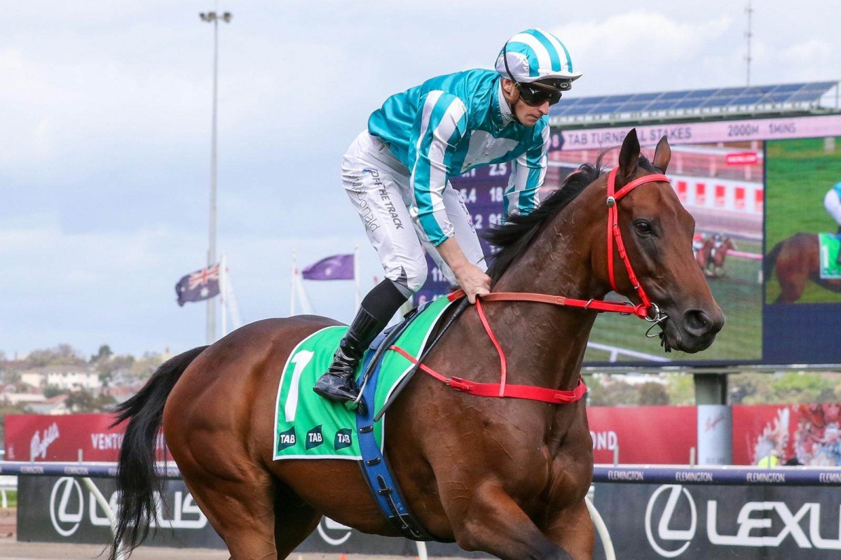 Romantic Warrior and James McDonald on their way to the gates for the Group One Turnbull Stakes (2,000m) at Flemington on Saturday. Photo: HKJC/Bruno Cannatelli.