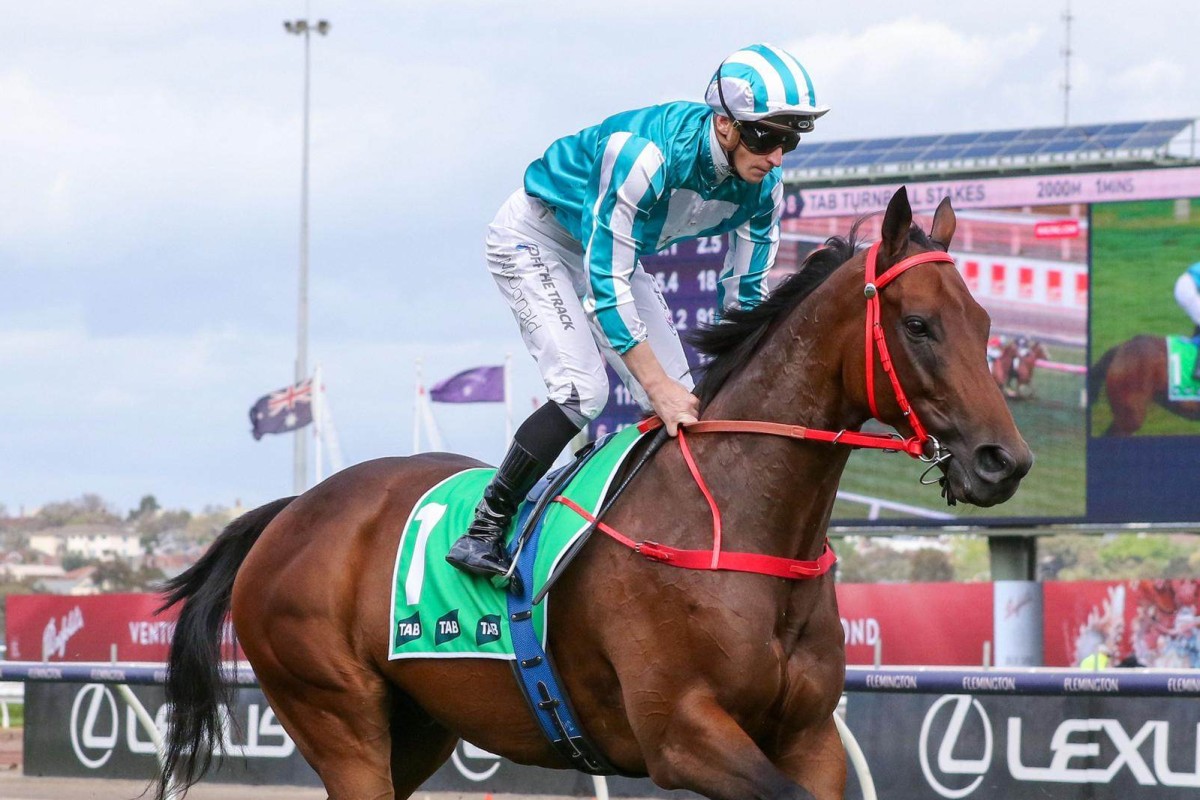 Romantic Warrior canters to the Group One Turnbull Stakes (2,000m) start at Flemington on Saturday under James McDonald. Photo: HKJC/Bruno Cannatelli