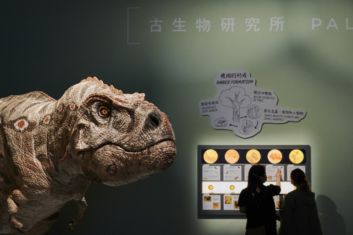 Rex China Inside the brain of T. rex: the most fearsome of dinosaurs was smarter ...