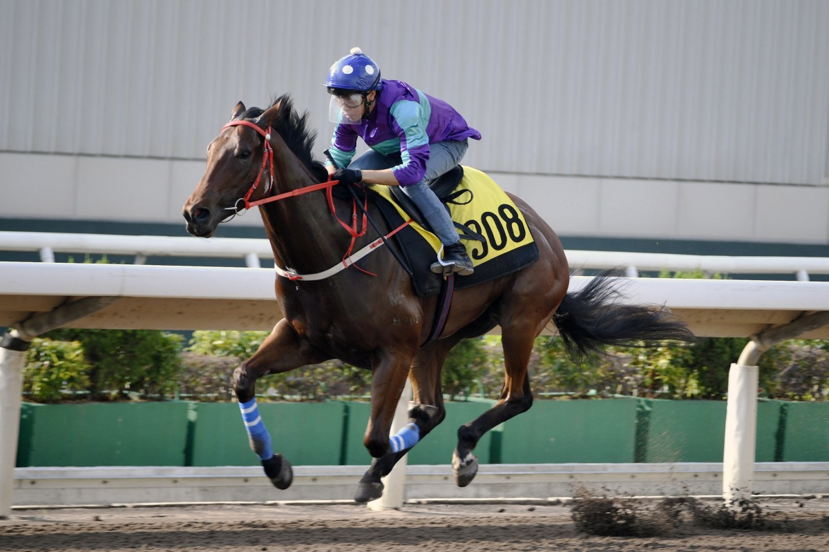 Dream Winner coasts to victory under Vincent Ho in a recent trial. Photo: Kenneth Chan