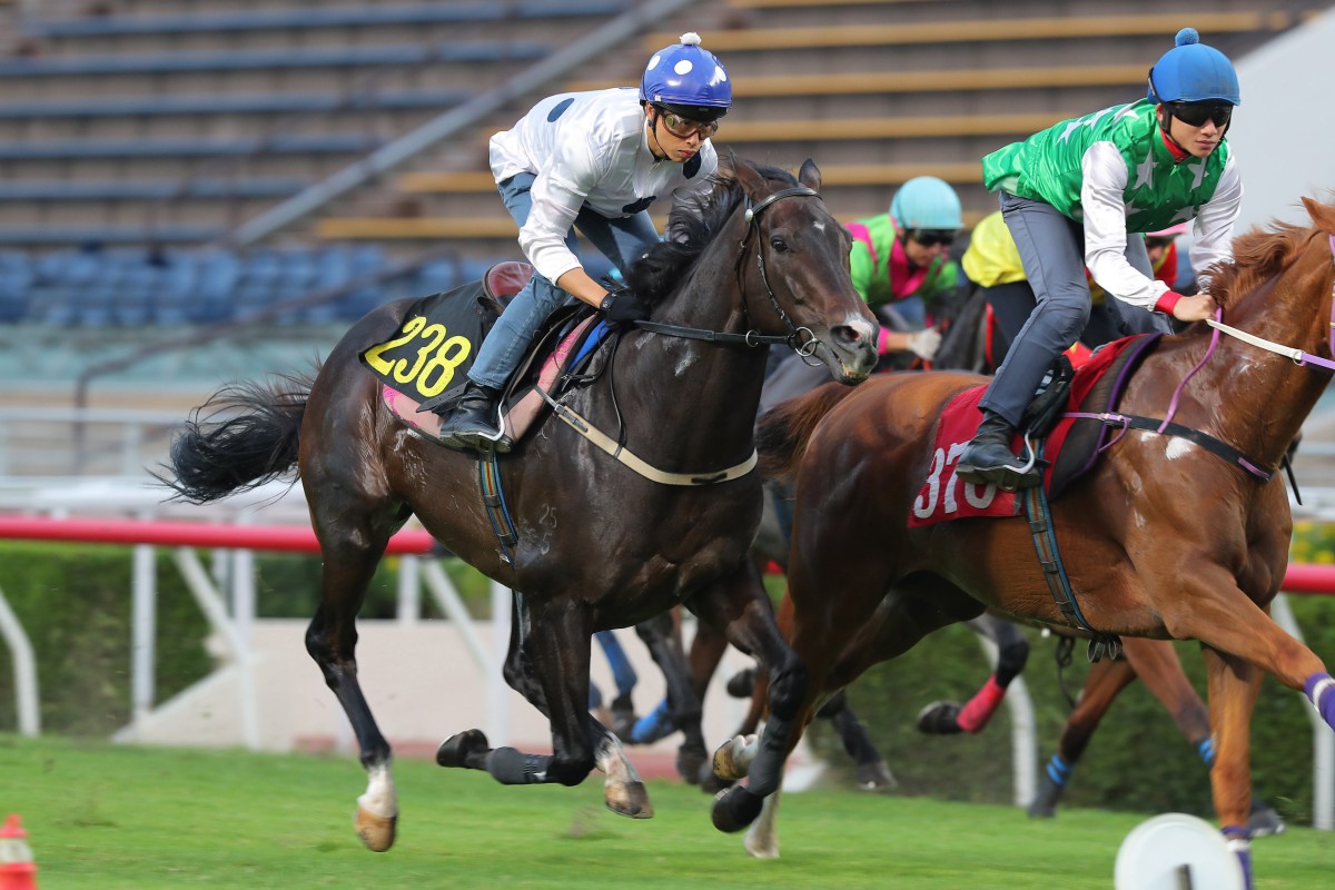 Golden Sixty finishes sixth in his Sha Tin turf trial on Tuesday morning. Photos: Kenneth Chan