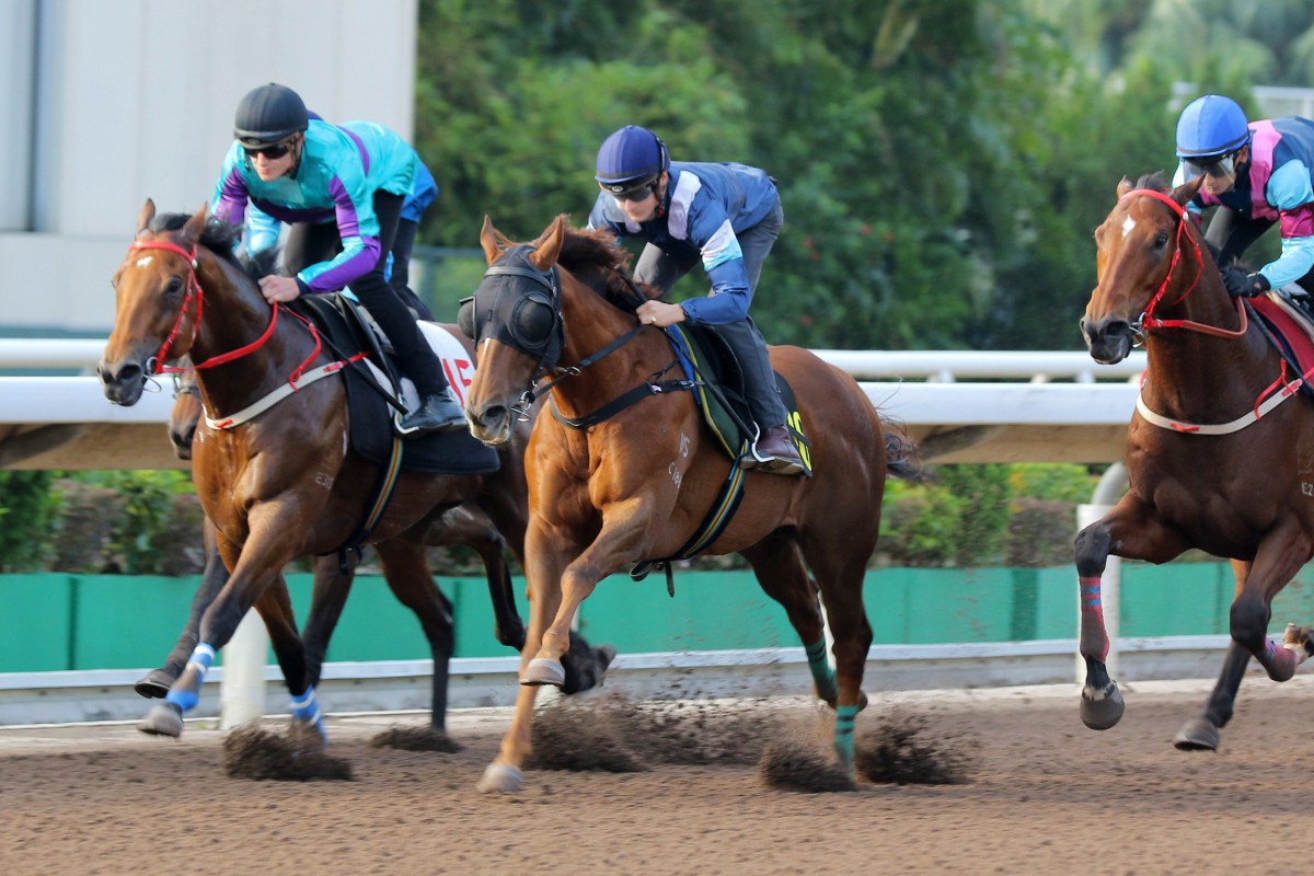 Duke Wai wins his latest all-weather trial at Sha Tin with Harry Bentley in the saddle. Photos: Kenneth Chan