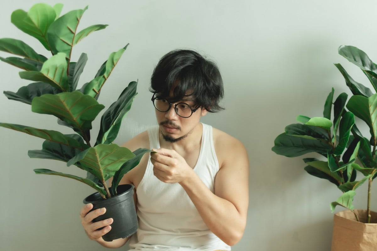 Some plants can communicate with each other – though human ears can’t detect these sounds. Photo: Shutterstock