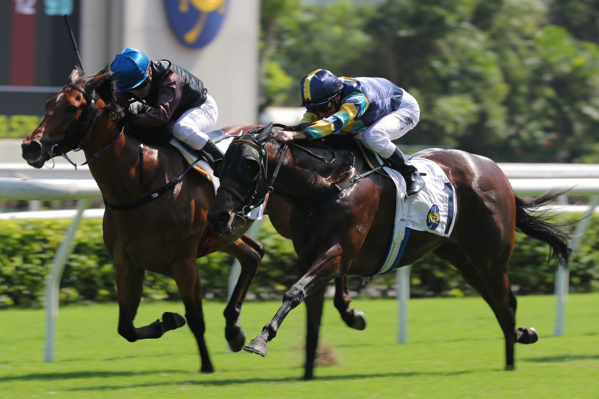 Ka Ying Cheer (inside) pips Lady’s Choice on debut. Photo: Kenneth Chan