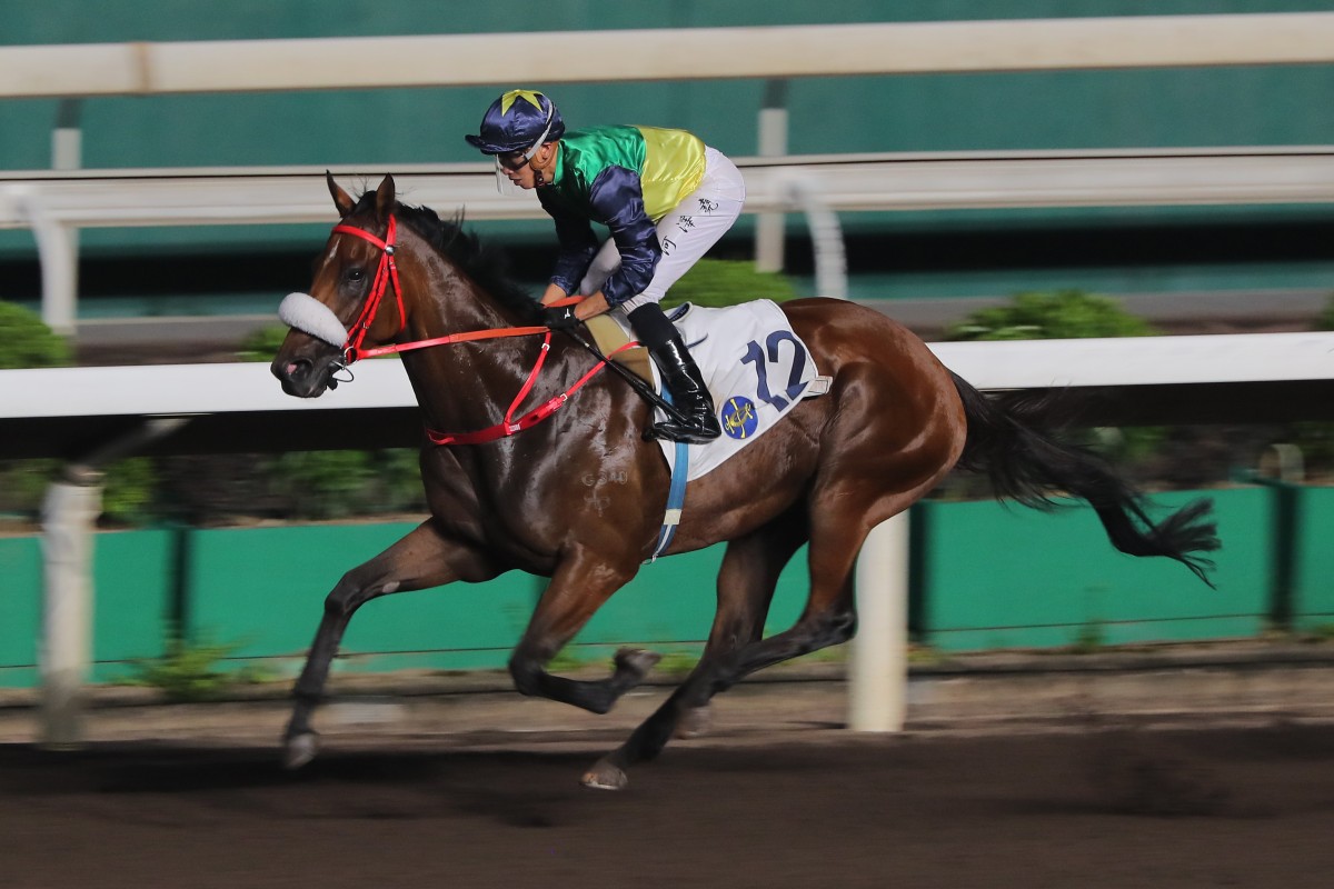 Youthful Deal completes his Sha Tin dirt 1,200m hat-trick under Vincent Ho on June 4. Photos: Kenneth Chan