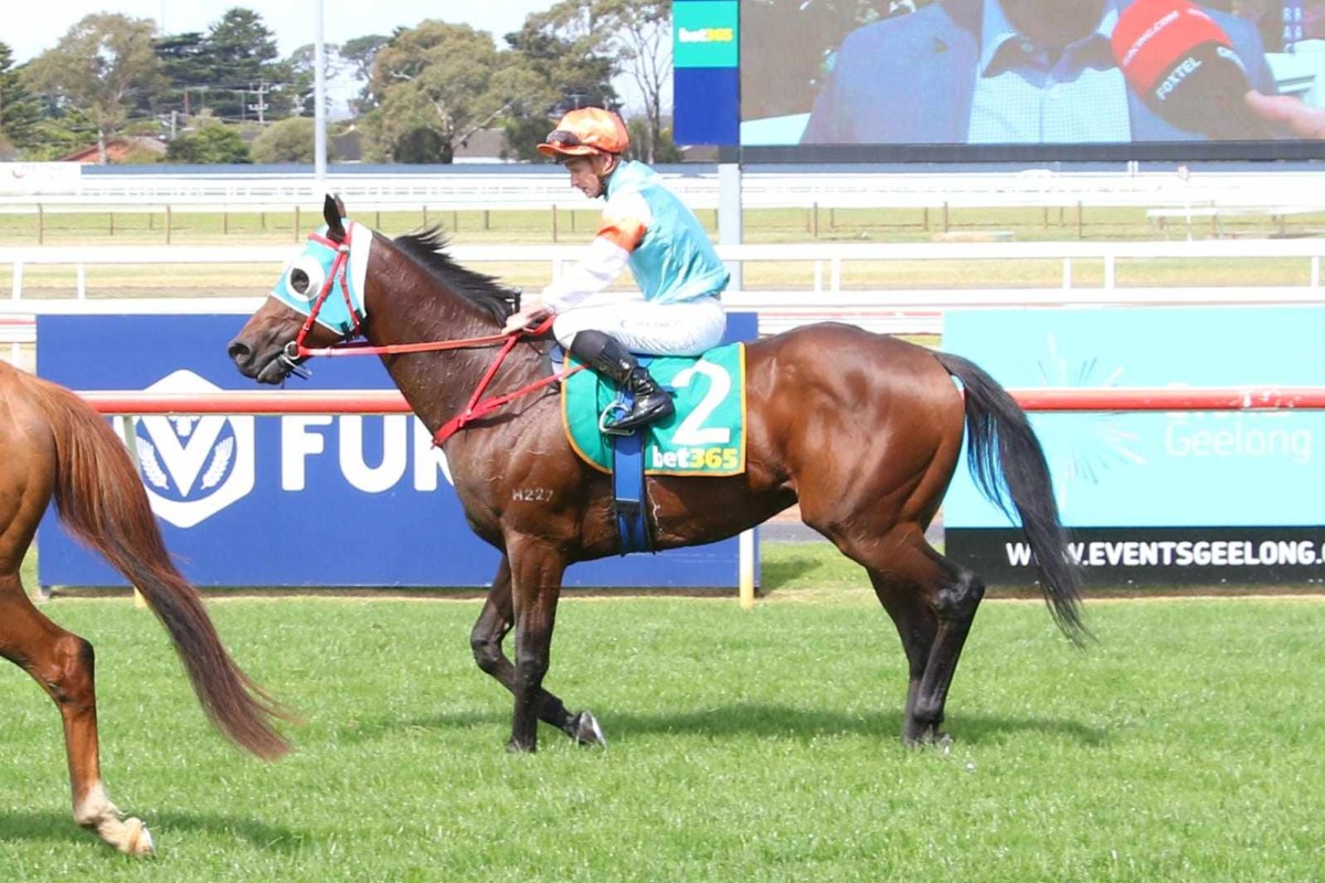 James McDonald and Romantic Charm at Geelong on Wednesday. Photos: Pun Kwan