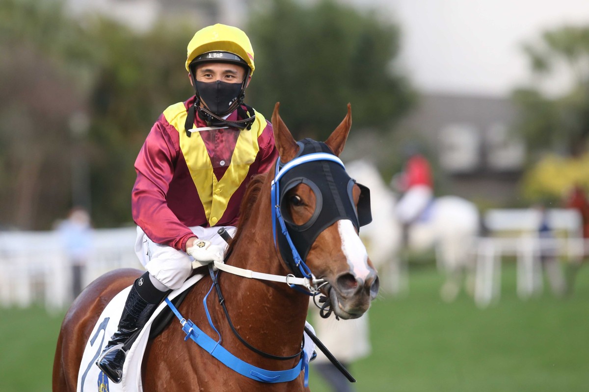Alfred Chan returns aboard Kurpany following their Class Two dirt win at Sha Tin in January 2022. Photo: Kenneth Chan