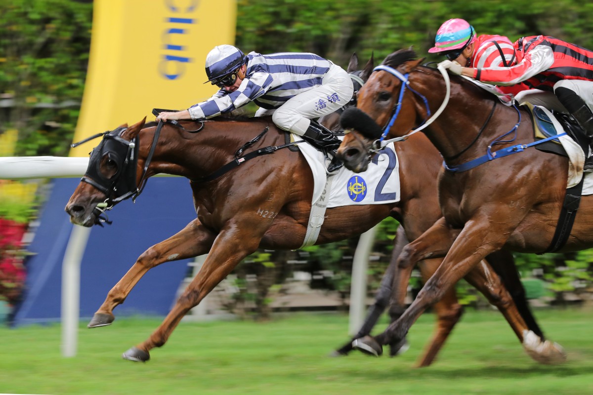 Seasons Wit completes his Class Three Happy Valley 1,000m hat-trick under Zac Purton on July 12. Photo: Kenneth Chan
