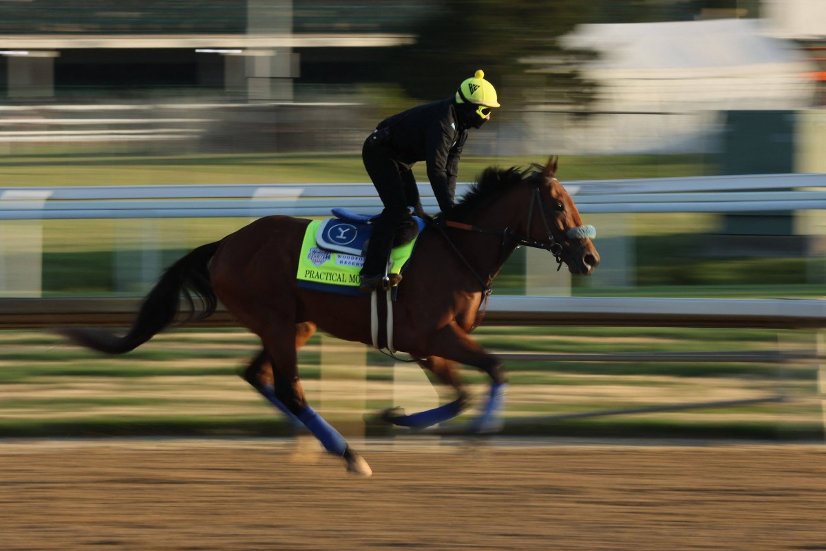 After a suspected ‘cardiac event’, Practical Move dies just days ahead of the Breeders’ Cup. Photo: AFP