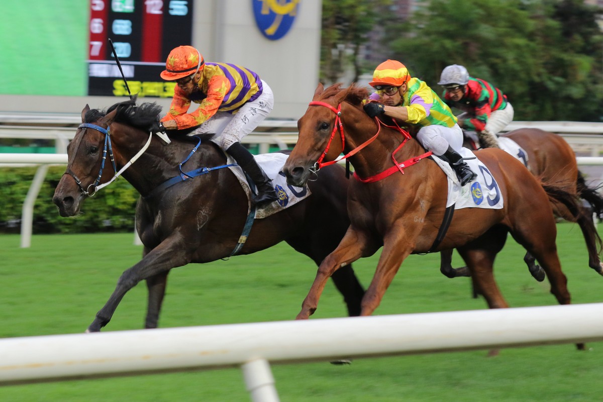 Straight Arron (left) wins the Group Three Queen Mother Memorial Cup in May. Photo: Kenneth Chan