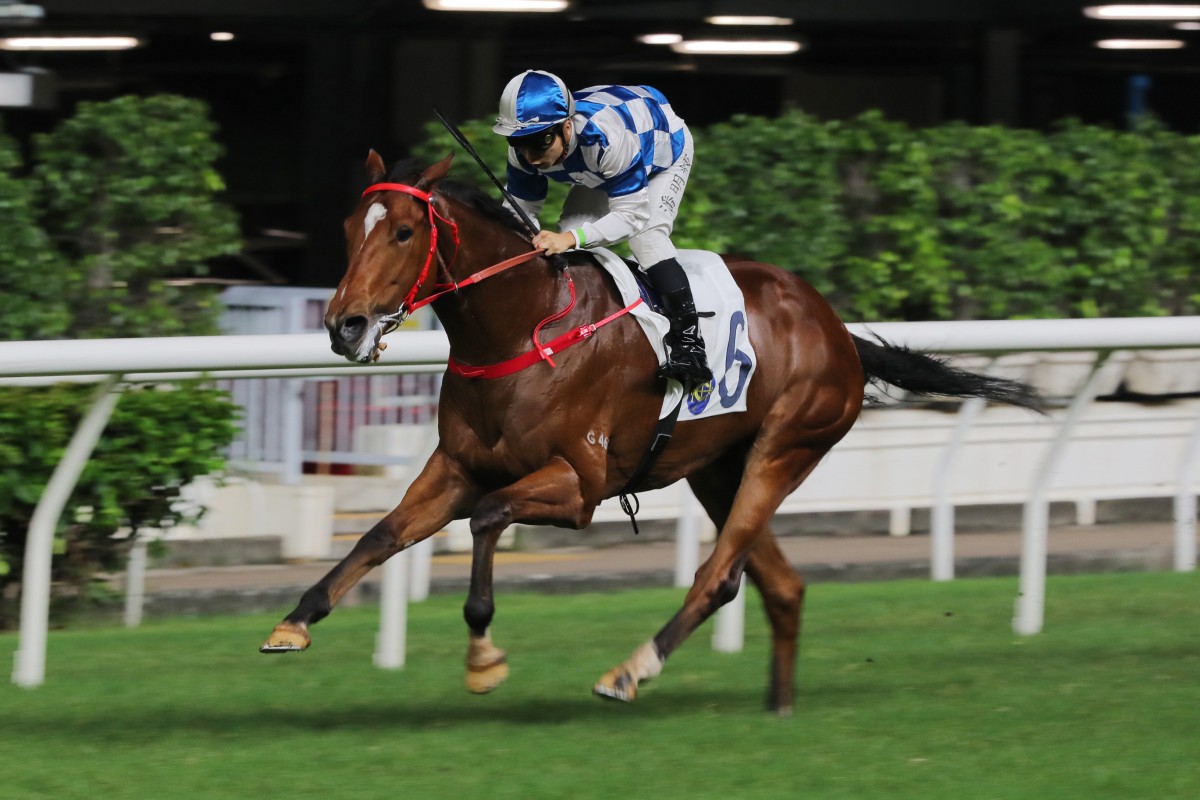 Nordic Dragon signs off for the season with a hat-trick at Happy Valley in June. Photos: Kenneth Chan