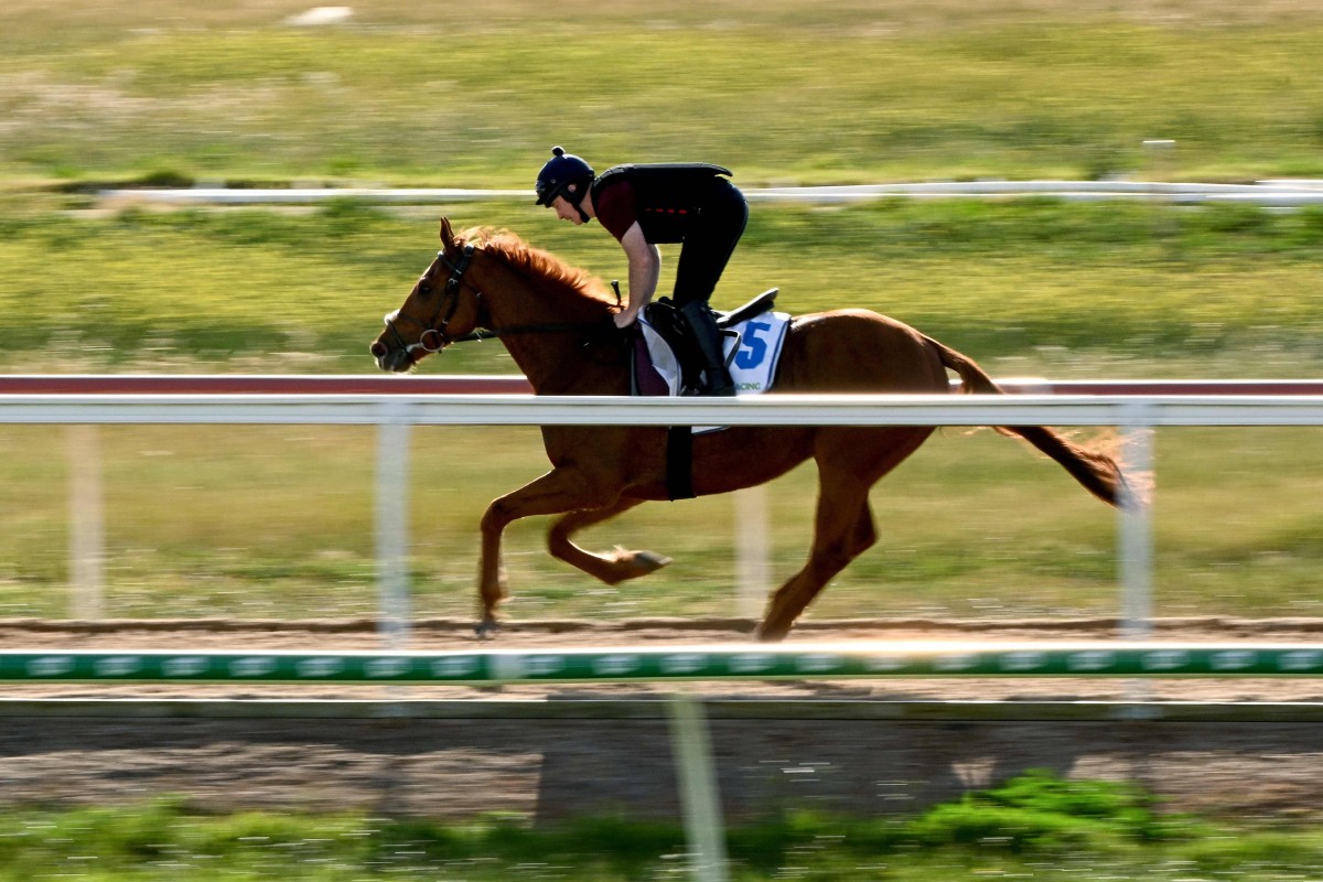 David Casey rides Irish-trained horse Vauban a day before the Melbourne Cup. Photo: AFP
