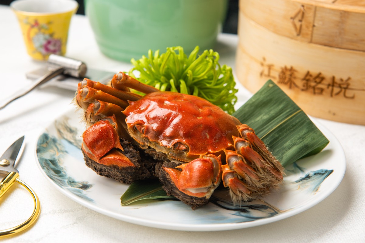 Check out these tips for choosing the tastiest hairy crabs. Photo: Jiangsu Club