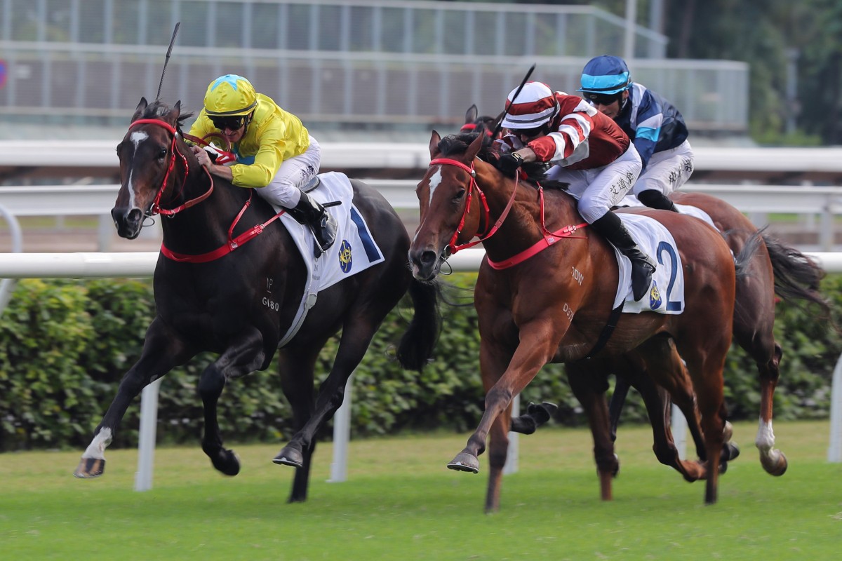 Lucky Sweynesse (left) is narrowly denied by Sight Success in the Group Two Premier Bowl (1,200m) at Sha Tin last month. Photo: Kenneth Chan