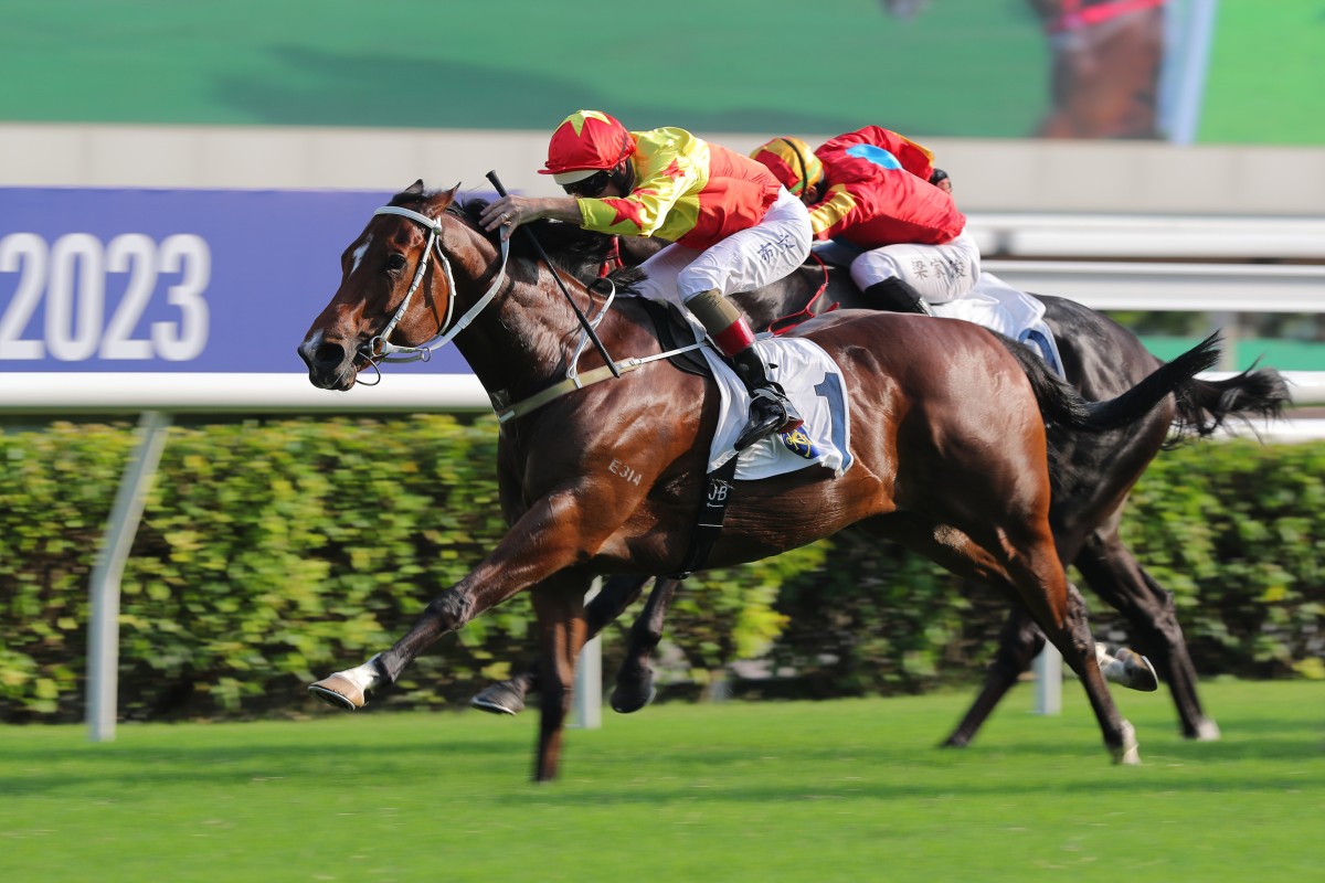 California Spangle wins last month’s Group Two Sha Tin Trophy. Photos: Kenneth Chan