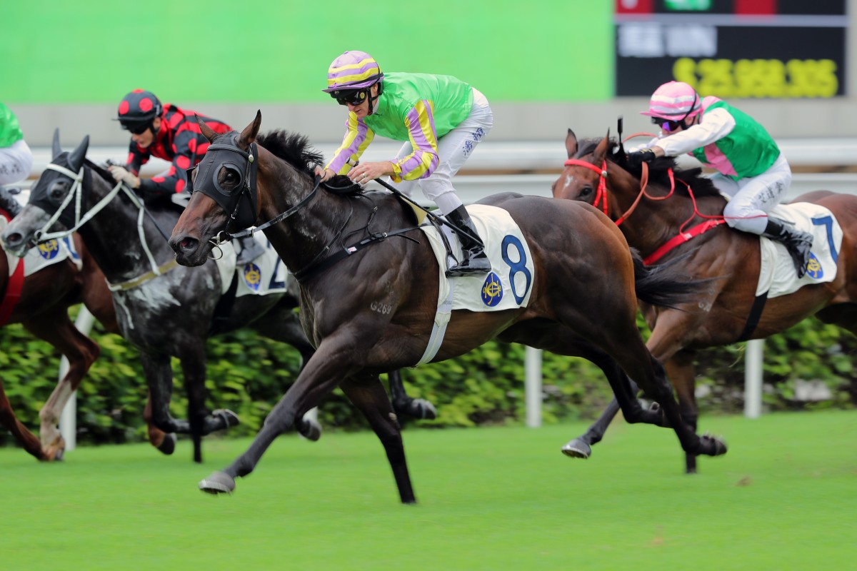 All Is Good salutes under Zac Purton on the opening day of this season. Photo: Kenneth Chan