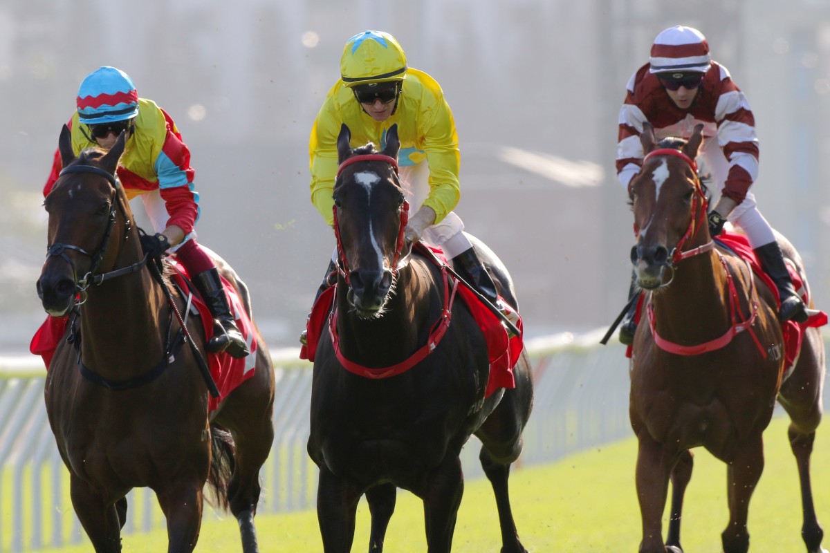 Wellington Races Wellington far from a spent force, Beauty Eternal has ‘got to take ...