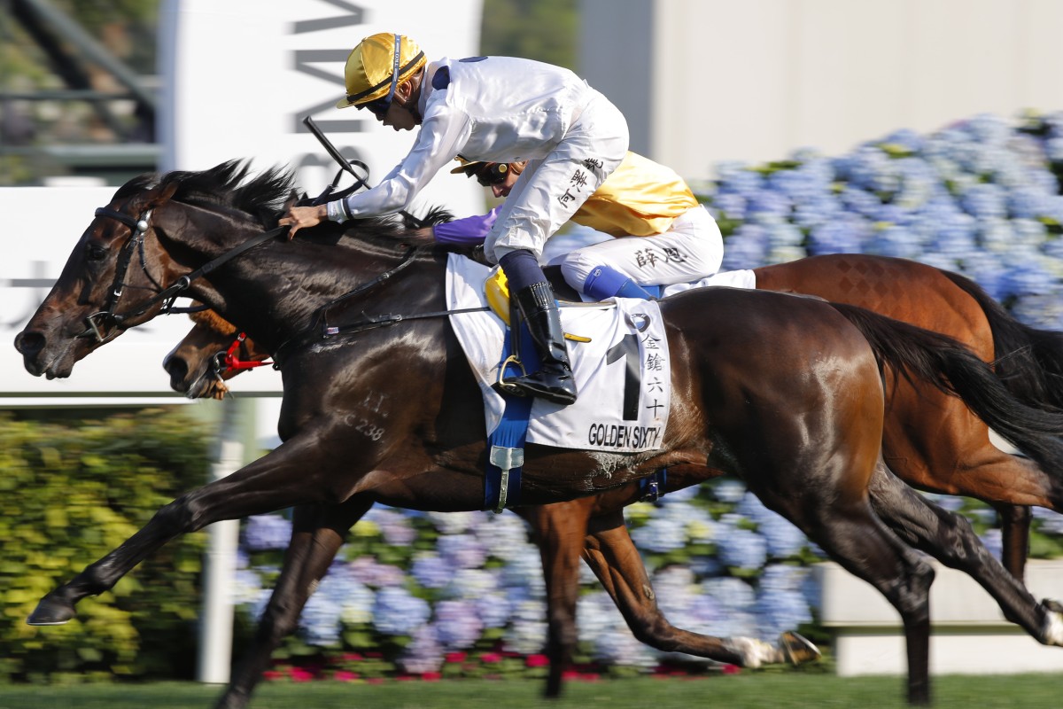 Golden Sixty wins the 2020 Hong Kong Derby (2,000m) at Sha Tin. Photo: Kenneth Chan