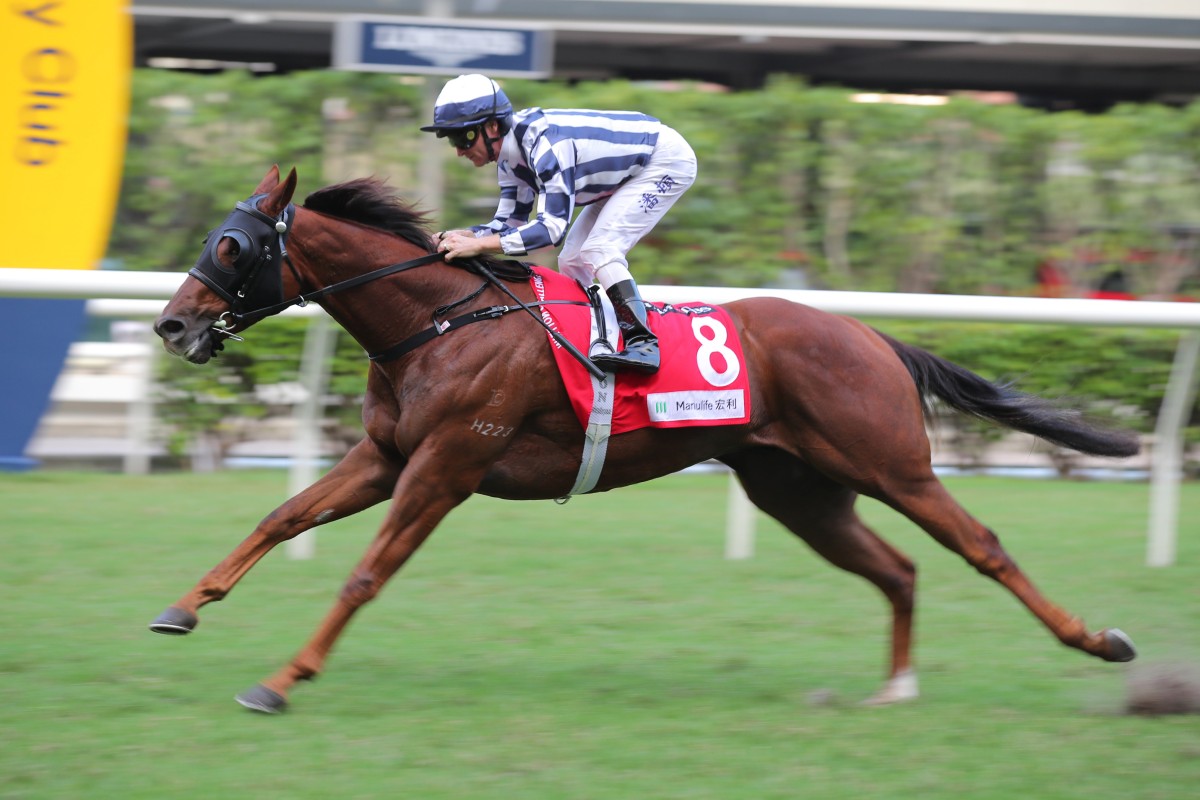 Seasons Wit resumes with an emphatic win at Happy Valley last month. Photo: Kenneth Chan
