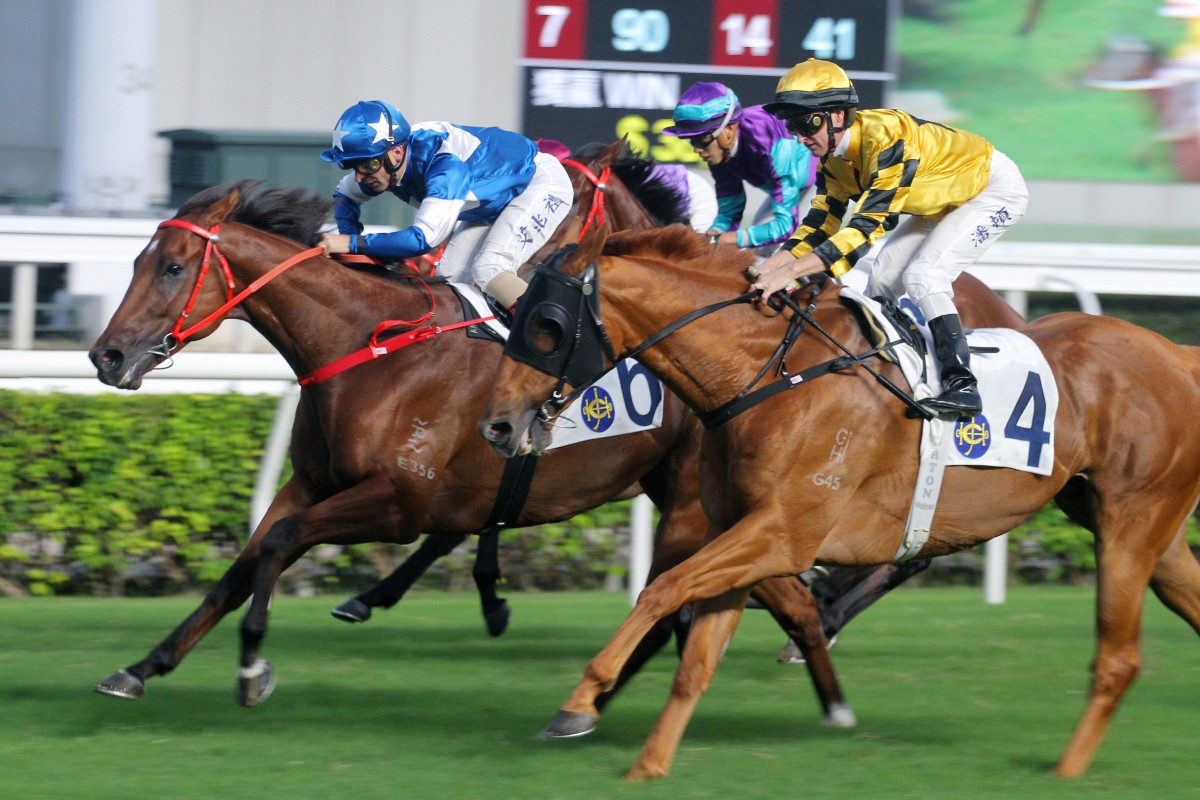 Andrea Atzeni pushes Lucky With You (blue and white colours) to victory at Sha Tin in October. Photo: Kenneth Chan
