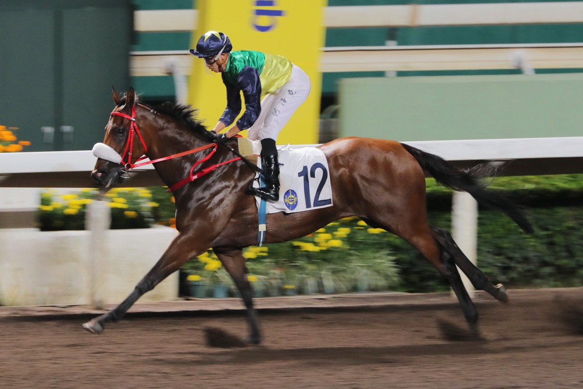 Youthful Deal salutes at Sha Tin in June. Photos: Kenneth Chan