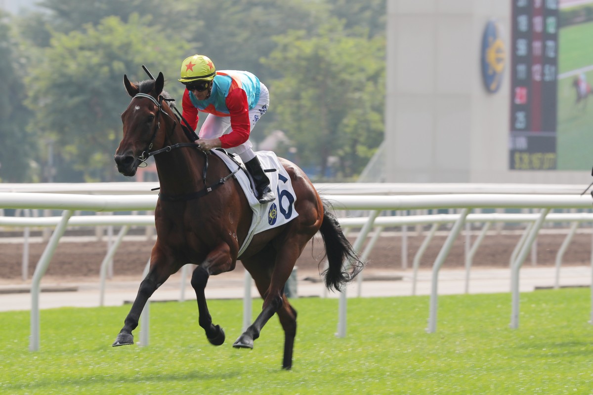 Ka Ying Rising emphatically brushes aside his rivals at Sha Tin on Sunday. Photos: Kenneth Chan