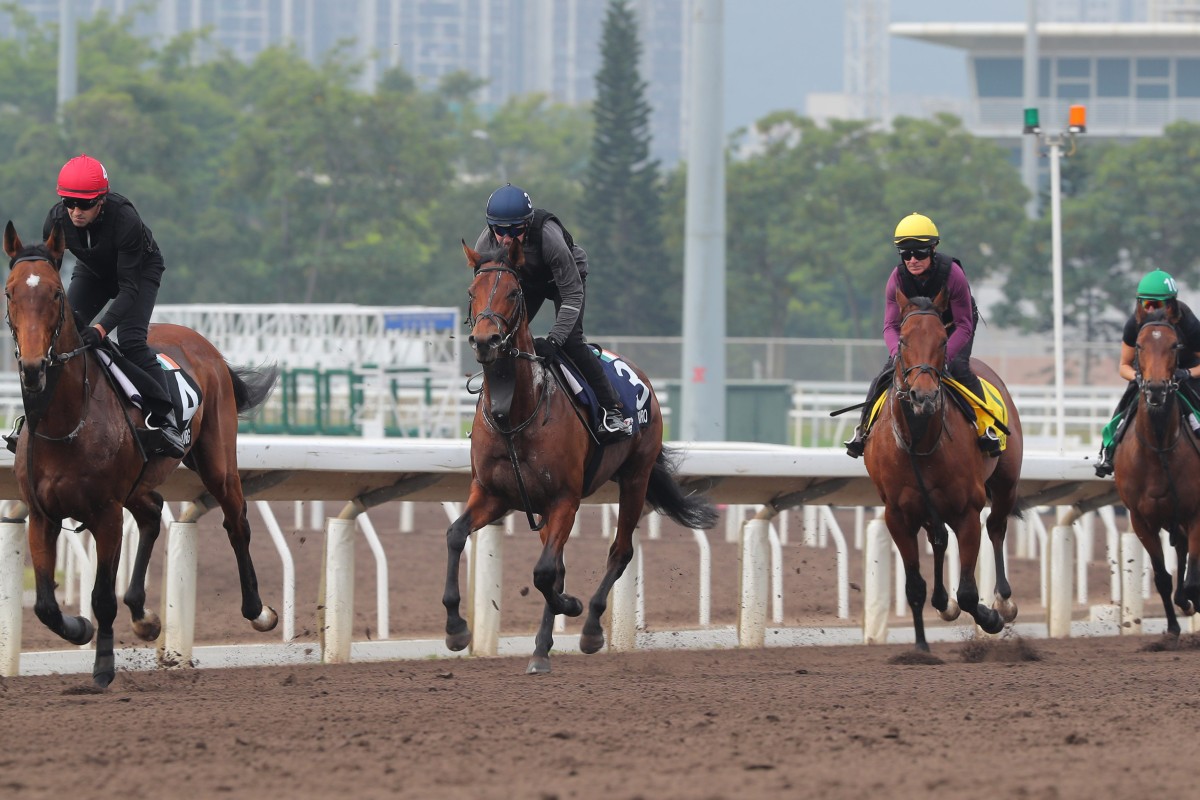 Luxembourg leads stablemates Cairo, Aesop’s Fables and Warm Heart in their Monday gallop. Photo: Kenneth Chan