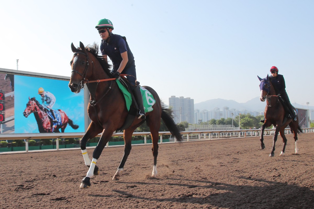 Group One Longines Hong Kong Vase (2,400m) runner Lebensstil works out at Sha Tin on Tuesday. Photo: Kenneth Chan