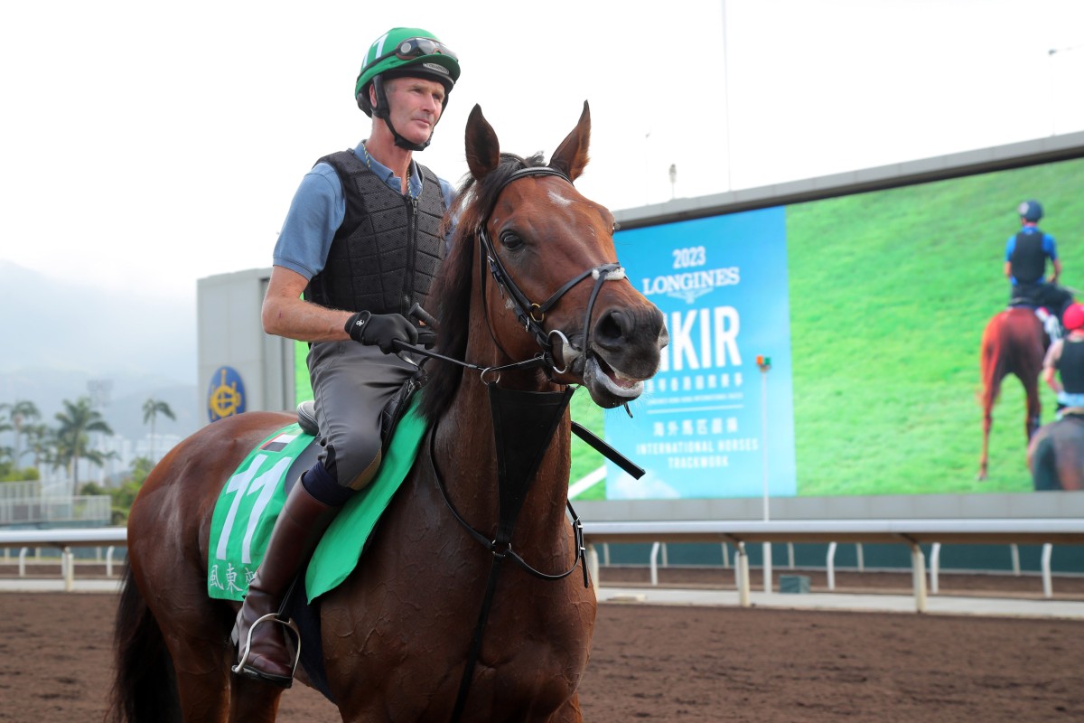 Group One Longines Hong Kong Vase (2,400m) scratching West Wind Blows at Sha Tin on Saturday. Photo: Kenneth Chan