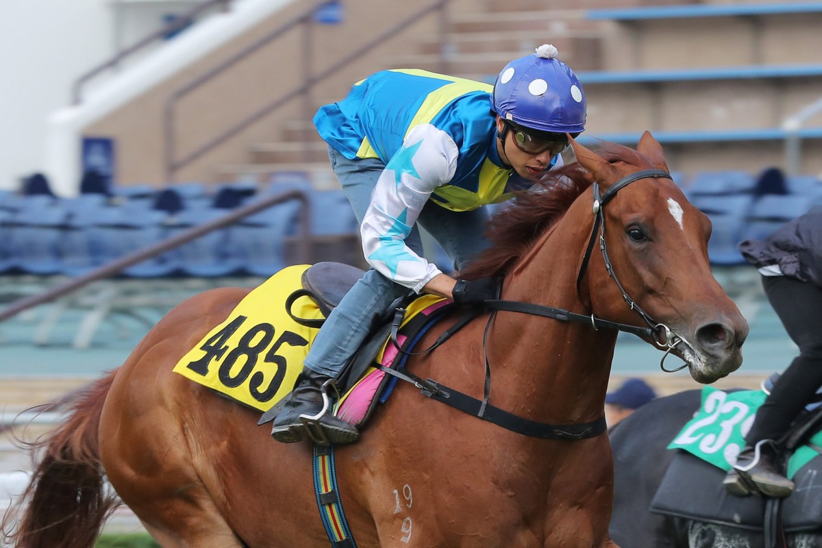 Patch Of Theta trials under Vincent Ho at Sha Tin on October 17. Photos: Kenneth Chan