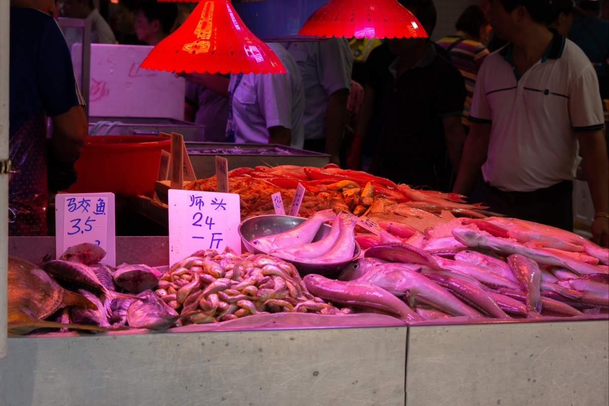 A woman shopping for seafood at Patane Market accidentally stabbed herself on a fish fin and was infected with Vibrio vulnificus. Photo: Shutterstock