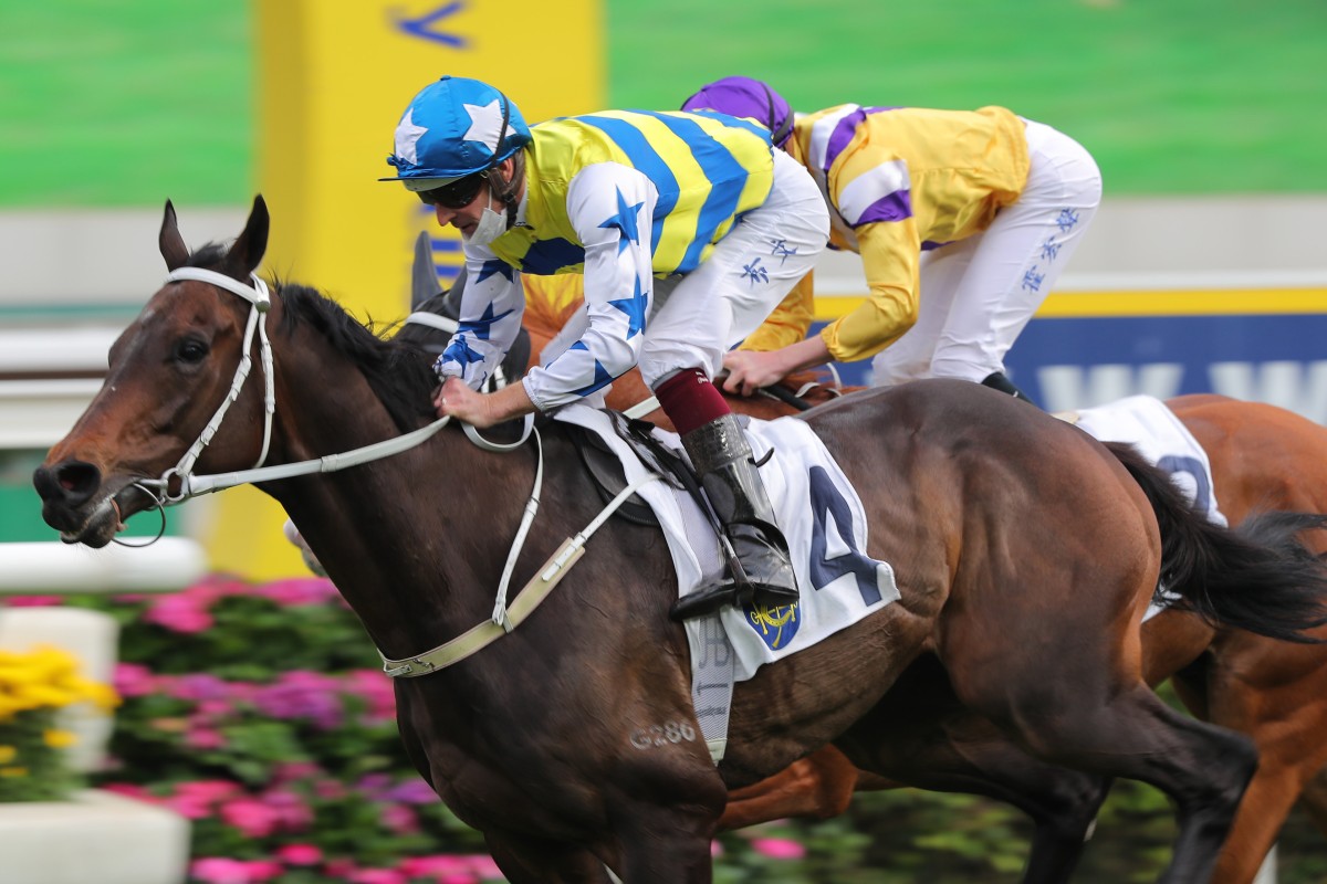 Five G Patch wins over 2,000m at Sha Tin on January 23. Photo: Kenneth Chan
