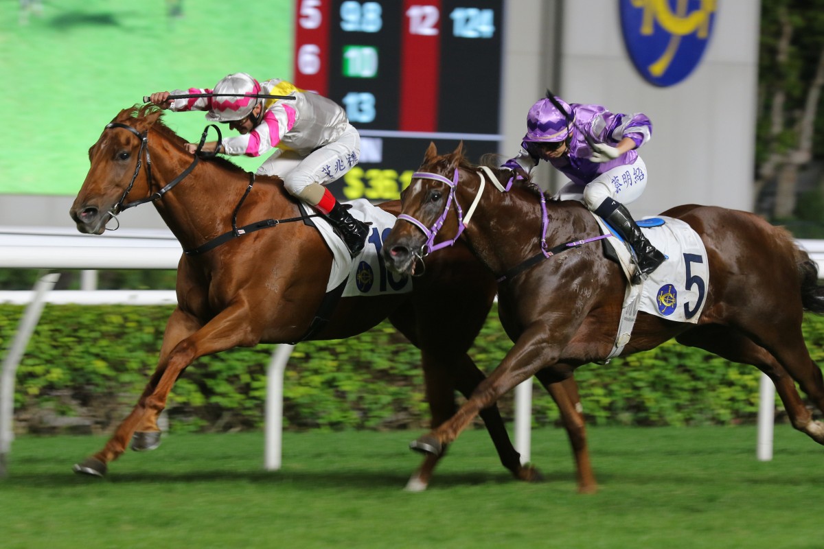 I Give (left) wins his fifth consecutive Sha Tin 1,200m race on November 26. Photo: Kenneth Chan