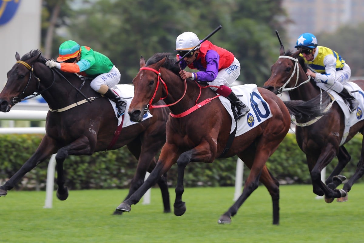 Ensured wins the Class Two Yan Chai Trophy (2,000m) at Sha Tin on Saturday. Photo: Kenneth Chan