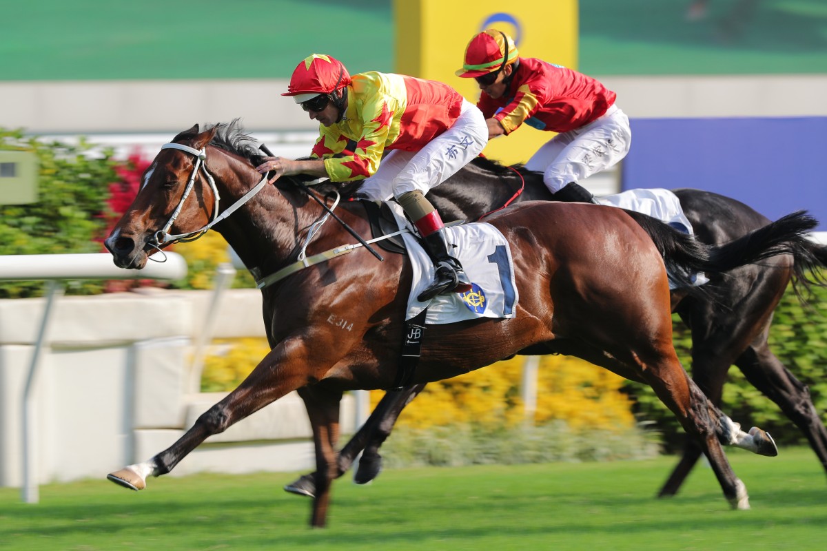 California Spangle and Hugh Bowman win the Group Two Sha Tin Trophy (1,600m) in October. Photo: Kenneth Chan