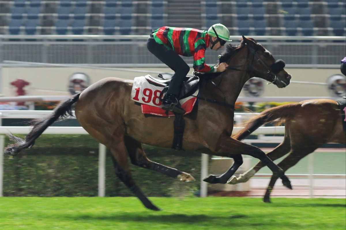 Russian Emperor returns to the Sha Tin turf under Hugh Bowman for his first trial since picking up an injury in November. Photo: Kenneth Chan
