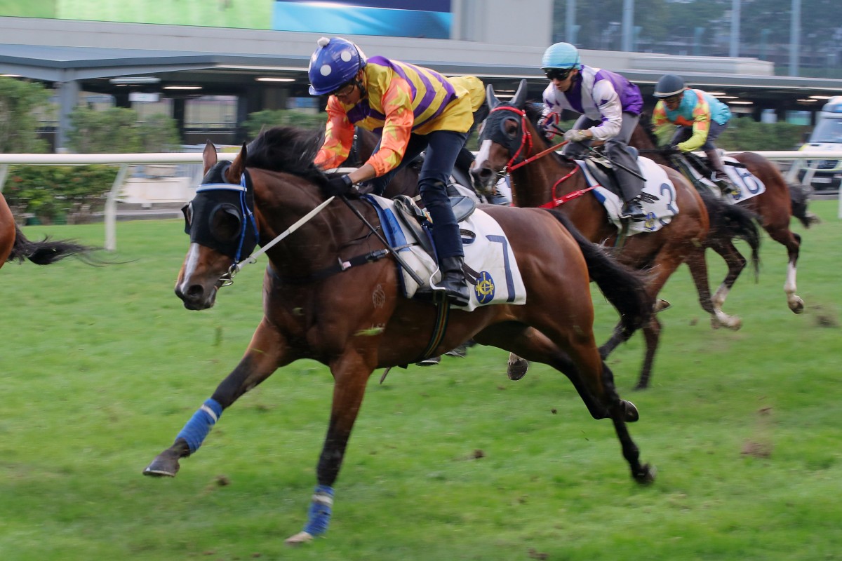 Vincent Ho partners Elliptical in a barrier trial at Happy Valley. Photo: Kenneth Chan
