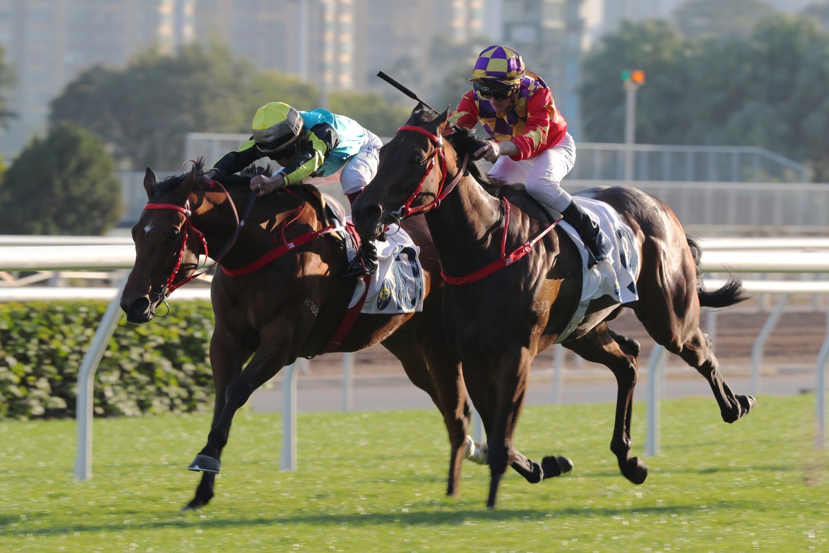 Raging Blizzard (left) edges Gorgeous Win to salute over 1,200m at Sha Tin last month. Photo: Kenneth Chan